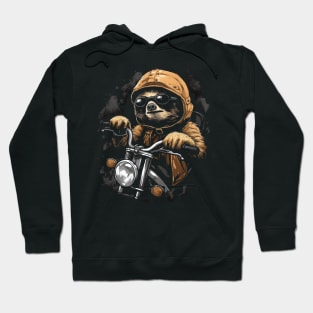 Sloth Riding a Bike Cute Funny Animals Hoodie